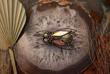 Tribal Housefly