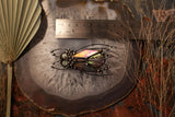 Tribal Housefly