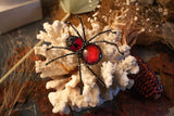 Spider Brooch