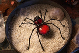 Spider Brooch