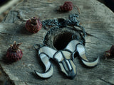 aries skull necklace, zodiac necklace, viking costume, wiccan jewelry magic, astrology necklace aries jewelry, animal skull, animal brooch
