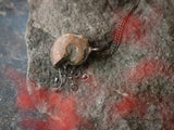 Natural ammonite fossil pendant