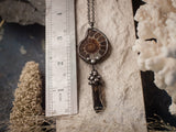 Natural Ammonite with smooky quartz, Spiral shell, Jurassic Jewellery, paleontology, ammonite fossil pendant, polished ammonite Necklace