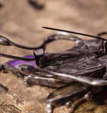 Brooch beetle scarab