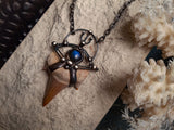 Fossil Otodus Shark Tooth Pendant Necklace