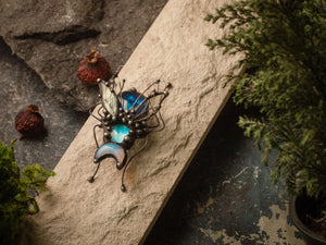 Crescent of blue beetle