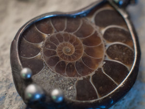 Natural Ammonite with smooky quartz, Spiral shell, Jurassic Jewellery, paleontology, ammonite fossil pendant, polished ammonite Necklace