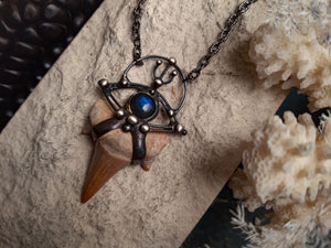 Fossil Otodus Shark Tooth Pendant Necklace