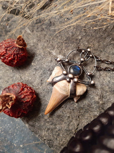 Fossil Otodus Shark Tooth Pendant Necklace