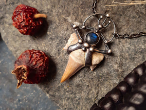 Fossil Otodus Shark Tooth Pendant Necklace