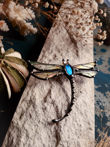 Cosmic dragonfly